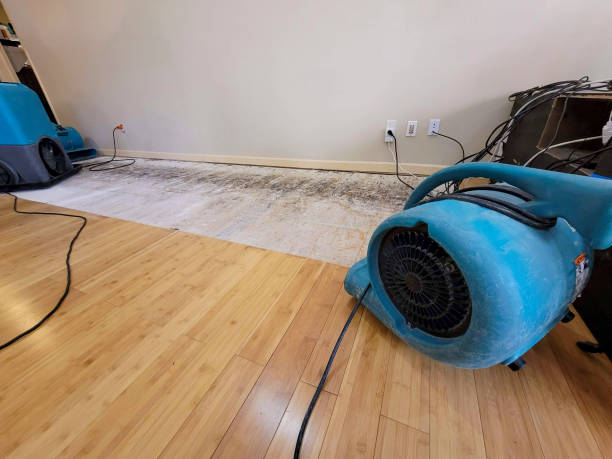 Professional Ceiling Water Damage Repair technician working in Barnum, IA